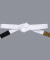 Scramble BJJ Belt V3 - White Scramble BJJ Belt V3 - White